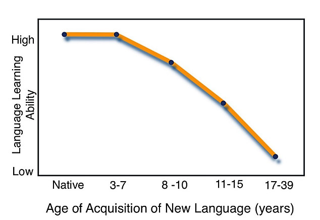 Chart - age of acquisition of new language